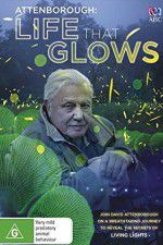Watch Attenborough\'s Life That Glows 123MoviesFree
