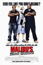 Watch Malibu's Most Wanted 123MoviesFree