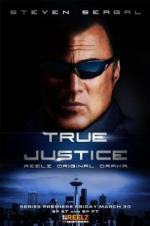 Watch True Justice: Brotherhood 123MoviesFree