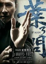 Watch Ip Man 3 123MoviesFree