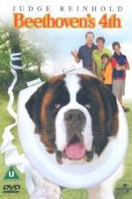 Watch Beethoven's 4th 123MoviesFree