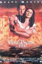 Watch A Walk in the Clouds 123MoviesFree