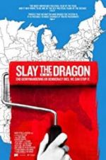 Watch Slay the Dragon 123MoviesFree