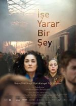 Watch Something Useful 123MoviesFree