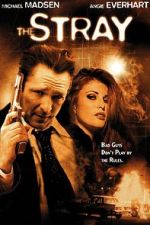 Watch The Stray 123MoviesFree