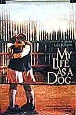 Watch My Life As A Dog 123MoviesFree