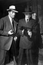 Watch No Orchids for Miss Blandish 123MoviesFree