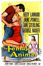 Watch The Female Animal 123MoviesFree