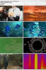 Watch National Geographic - How Life Began (2010) 123MoviesFree