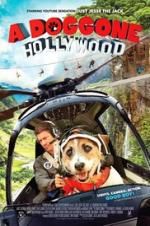 Watch A Doggone Hollywood 123MoviesFree