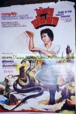Watch Snake in the Eagle's Shadow II 123MoviesFree