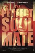 Watch The Perfect Soulmate 123MoviesFree