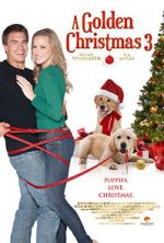 Watch A Golden Christmas 3 123MoviesFree