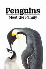 Watch Penguins: Meet the Family 123MoviesFree