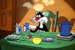 Watch The Last Hungry Cat 123MoviesFree