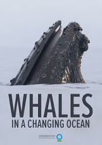 Watch Whales in a Changing Ocean (Short 2021) 123MoviesFree