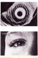 Watch The Searching Eye 123MoviesFree