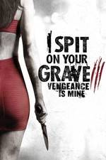 Watch I Spit on Your Grave 3 123MoviesFree