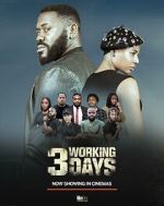 Watch 3 Working Days 123MoviesFree