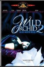 Watch Wild Orchid II Two Shades of Blue 123MoviesFree