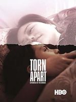 Watch Torn Apart: Separated at the Border 123MoviesFree