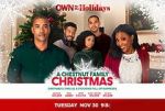 Watch A Chestnut Family Christmas 123MoviesFree