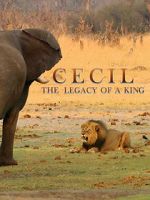 Watch Cecil: The Legacy of a King 123MoviesFree