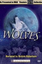 Watch Wolves 123MoviesFree