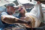 Watch Brewmance 123MoviesFree