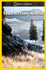 Watch National Geographic Yellowstone Winter 123MoviesFree