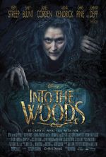 Watch Into the Woods 123MoviesFree