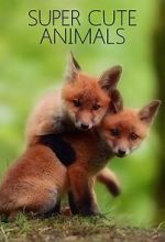 Watch Super Cute Animals 123MoviesFree