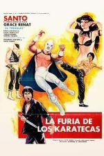 Watch The Fury of the Karate Experts 123MoviesFree