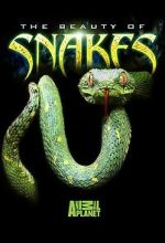 Watch Beauty of Snakes 123MoviesFree