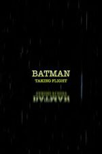 Watch Batman: Taking Flight 123MoviesFree