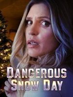 Watch Dangerous Snow Day 123MoviesFree