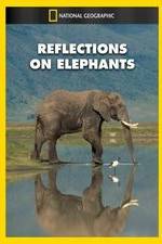 Watch Reflections on Elephants 123MoviesFree