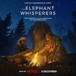 Watch The Elephant Whisperers (Short 2022) 123MoviesFree