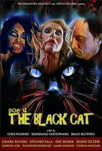 Watch POE 4: The Black Cat 123MoviesFree