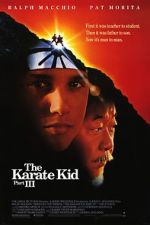 Watch The Karate Kid Part III 123MoviesFree