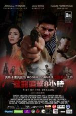 Watch Fist of the Dragon 123MoviesFree