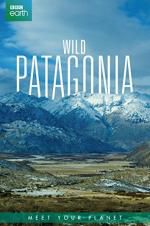 Watch Wild Patagonia 123MoviesFree