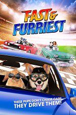 Watch Fast and Furriest 123MoviesFree