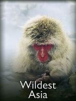 Watch Wildest Asia 123MoviesFree