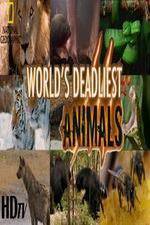 Watch National Geographic - Worlds Deadliest Animal Battles 123MoviesFree