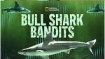 Watch Bull Shark Bandits 123MoviesFree