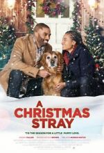 Watch A Christmas Stray 123MoviesFree