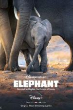 Watch Elephant 123MoviesFree