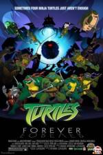 Watch Teenage Mutant Ninja Turtles Turtles Forever 123MoviesFree