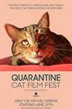Watch Quarantine Cat Film Fest 123MoviesFree